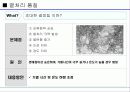 열처리 기술의 이해 7페이지