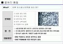열처리 기술의 이해 9페이지