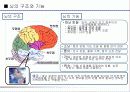 과학적으로 살펴본 기억력 향상법 8페이지
