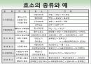 효소와 효소의 활용 8페이지