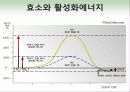 효소와 효소의 활용 14페이지
