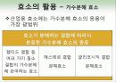 효소와 효소의 활용 16페이지