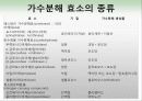 효소와 효소의 활용 17페이지