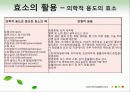 효소와 효소의 활용 19페이지