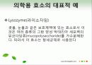 효소와 효소의 활용 20페이지