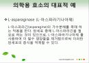 효소와 효소의 활용 21페이지