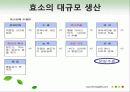 효소와 효소의 활용 22페이지