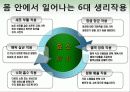 효소와 효소의 활용 28페이지