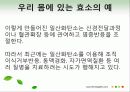 효소와 효소의 활용 31페이지