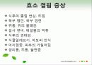 효소와 효소의 활용 32페이지