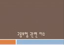 [고용보험] 고용보험의 도입배경, 의의, 고용보험 대상, 고용보험 재정, 고용안정사업 및 직업능력개발사업, 실업급여 등등 모두 분석[2012년 평가우수자료★★★★★] 52페이지