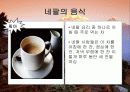 네팔소개 34페이지
