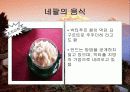 네팔소개 35페이지
