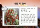 네팔소개 36페이지