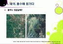 [태국홍수] 태국 방콕 대홍수 총정리(태국 홍수 사태 현황과 극심한 피해의 원인, 태국 홍수가 우리나라에 미치는 영향과 교훈) 6페이지