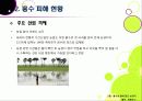 [태국홍수] 태국 방콕 대홍수 총정리(태국 홍수 사태 현황과 극심한 피해의 원인, 태국 홍수가 우리나라에 미치는 영향과 교훈) 16페이지