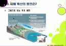 [태국홍수] 태국 방콕 대홍수 총정리(태국 홍수 사태 현황과 극심한 피해의 원인, 태국 홍수가 우리나라에 미치는 영향과 교훈) 20페이지