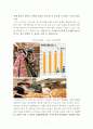 월마트와 이마트의 비교 7페이지
