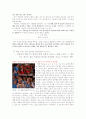 [현대사회와 심리학] 집단간의 갈등의 특징, 원인과 사례 및 집단 갈등에 대한 나의 견해 제안 [2012년 A+] 13페이지