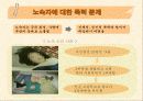 [노숙자 문제, 노숙자 대책방안]노숙자의 현황과 문제점 및 노숙자 대책방안[2012년 A+추천 레포트★★★★★] 16페이지