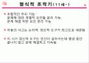 장 피아제의 주요 이론 상세 분석과 교육적 의의와 비판 및 평가(2012년 추천 우수 레포트 선정★★★★★) 21페이지