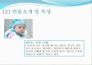 일일 드라마 살맛납니다 를 통해 살펴본 가족치료의 개입 사례와 그 이론들(2012년 추천 우수 레포트 선정★★★★★) 6페이지