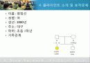 [실천기술론] 실사례를 통해 살펴본 위기개입모델에 대한 모든 것 - 성폭행 피해 아동과 위기개입 (2012년 추천 우수) 21페이지