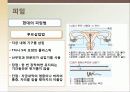 [성심리학] 임신과정, 수유, 피임, 낙태에 대한 모든 것 (2012년 추천 우수) 29페이지