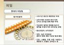 [성심리학] 임신과정, 수유, 피임, 낙태에 대한 모든 것 (2012년 추천 우수) 30페이지