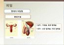 [성심리학] 임신과정, 수유, 피임, 낙태에 대한 모든 것 (2012년 추천 우수) 35페이지