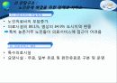[노인복지] 다양한 노인문제의 원인분석, 문제점, 특징 및 노인복지방안 (2012년 추천 우수) 27페이지