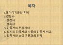 옛 이야기꾼에 대한 이해 인물 분석 (강독사, 강담사 분석 보고서-조재의, 봉원호, 김한유)(2012년 추천 우수 레포트 선정★★★★★) 2페이지