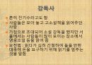 옛 이야기꾼에 대한 이해 인물 분석 (강독사, 강담사 분석 보고서-조재의, 봉원호, 김한유)(2012년 추천 우수 레포트 선정★★★★★) 8페이지