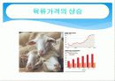 [기업분석]동원산업 8페이지