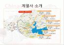 [기업분석]차이나그레이트 14페이지