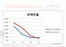 [기업분석]차이나그레이트 26페이지
