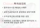 [기업분석]차이나그레이트 28페이지