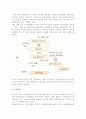 [우리나라의 통관시스템] 수입통관의 절차, 수입신고의 시기 및 요건, 수출통관, 보세제도 5페이지