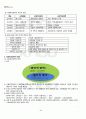 2011년 2학기 사회복지정책론 출석대체시험 핵심체크 4페이지