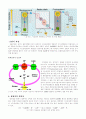 [광합성] 광합성의 특성 5페이지