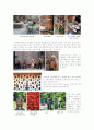 중남미문화사 22페이지