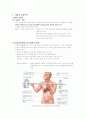 사람의 성호르몬 (A+ 추천레포트) 5페이지