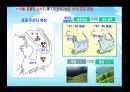 지구온난화와 기후변화 9페이지