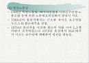 (정치탐구) 정당에 대한 모든 것 A+ 발표자료 42페이지
