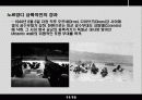 인천 상륙작전과 노르망디 상륙작전 비교 분석 11페이지