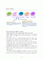 석유정제 석유화학 산업폐수처리 24페이지