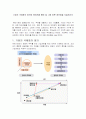 기업의 국제화의 정의와 해외진출 형태 및 그에 따른 장단점을 서술 1페이지
