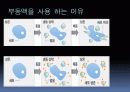 (강추)냉동인간에 관한 과학적 분석 PPT 발표자료 6페이지