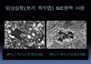 (강추)냉동인간에 관한 과학적 분석 PPT 발표자료 8페이지