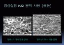 (강추)냉동인간에 관한 과학적 분석 PPT 발표자료 10페이지